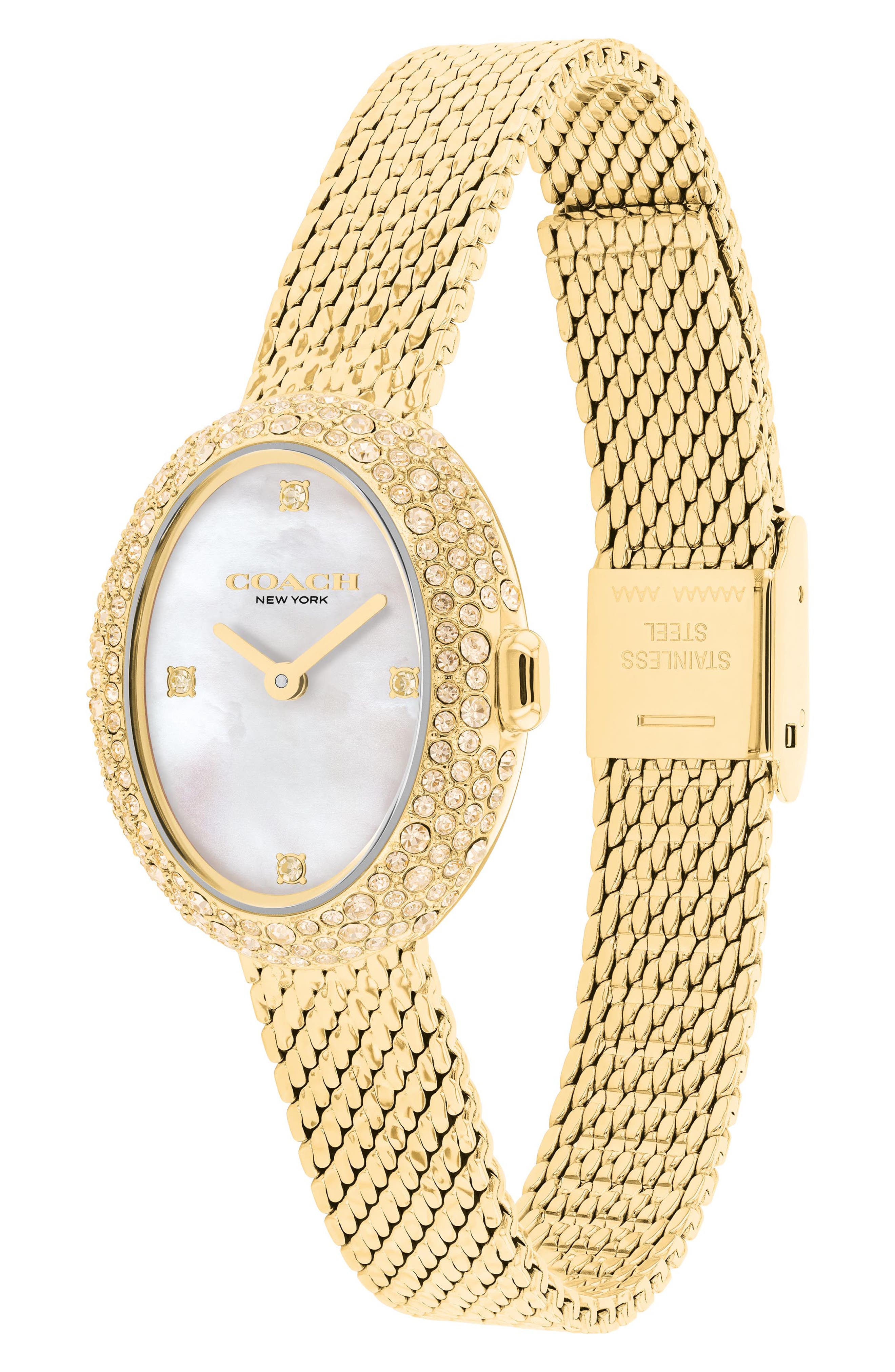 COACH Sammy Mesh Strap Watch, 22.5mm (Women) | Nordstrom
