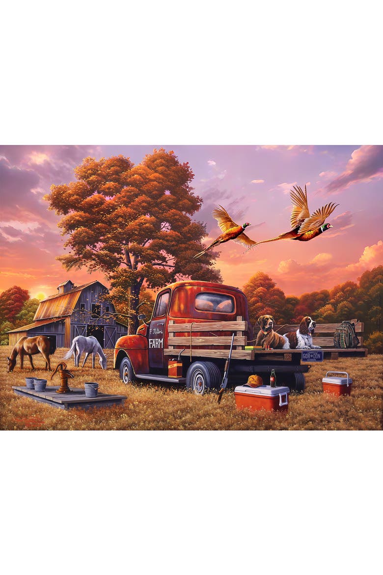 What's the Point 1000 piece Jigsaw Puzzle for Adults, Alternate, color, Multicolor