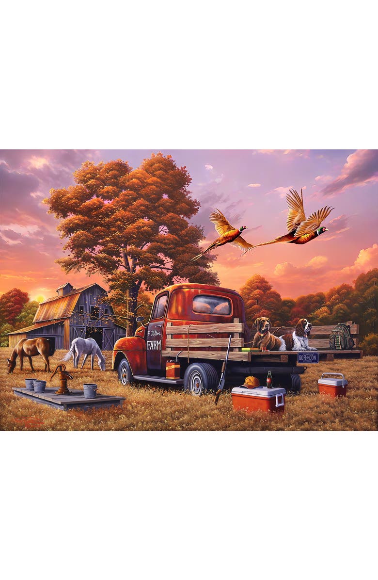 Sunsout What's the Point 1000 piece Jigsaw Puzzle for Adults, Alternate, color, Multicolor