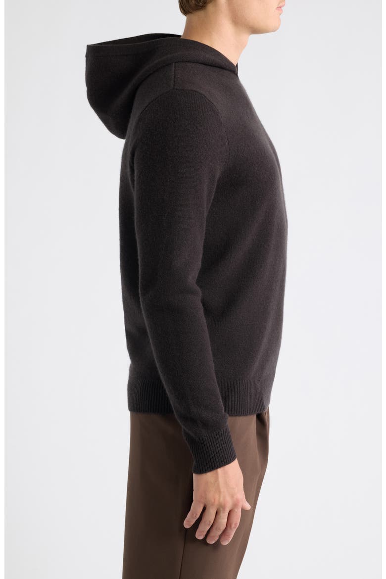 Luxe Cashmere Hooded Sweater, Alternate, color, BROWN LATTE