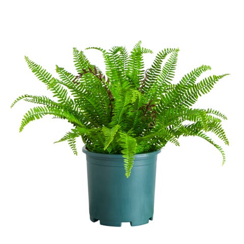 23-in UV Resistant Artificial Real Touch Boston Fern Plant (Indoor/Outdoor)