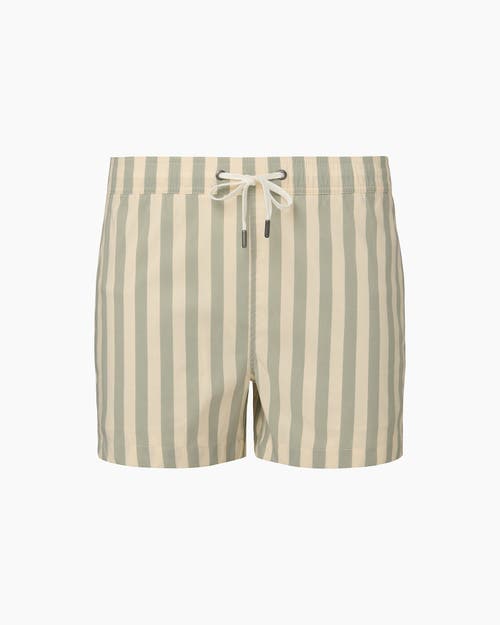 Onia Charles 4" Swim Trunk In Sage/cream
