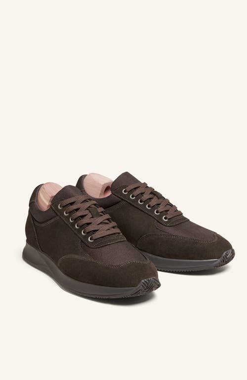 Myrqvist Stensund Sneakers In Brown