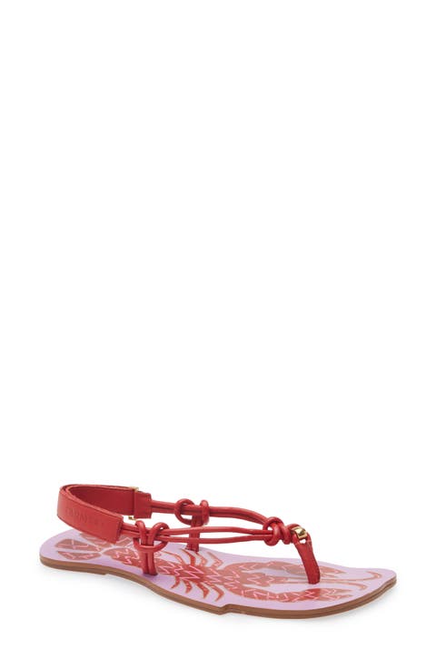 Lobster Slingback Sandal (Women)