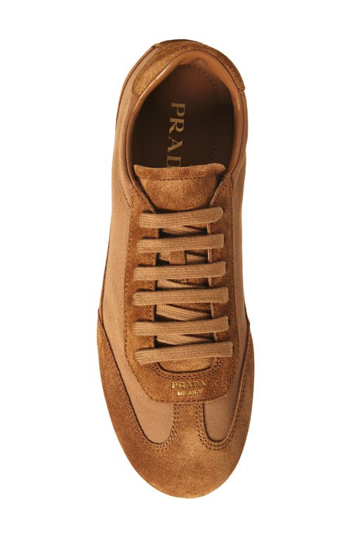 Prada Mixed Media Low Top Sneaker In Brown