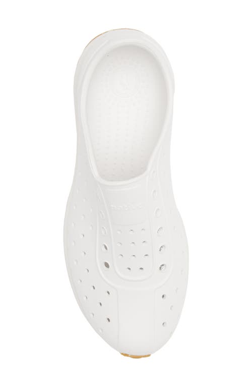 NATIVE SHOES NATIVE SHOES ROBBIE SUGARLITE SLIP-ON SHOE