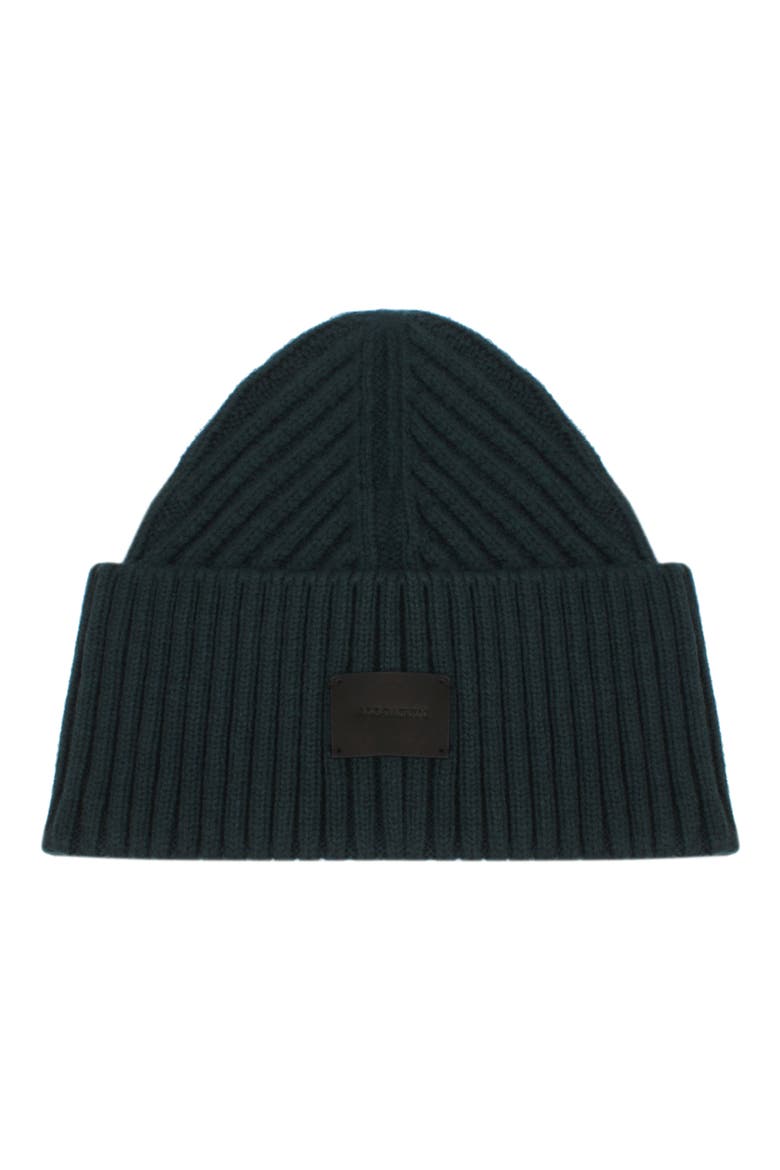 Travelling Ribbed Beanie, Main, color, ATTITUDE BLUE