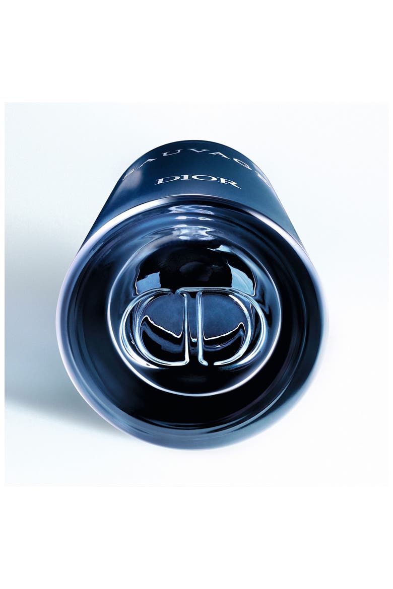 Sauvage Eau de Parfum, Alternate, color, REGULAR