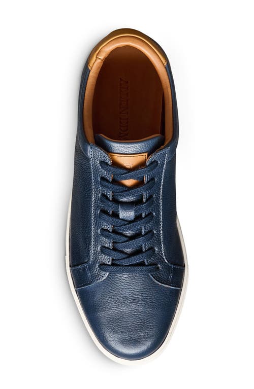 Allen Edmonds Courtside Sneaker In Navy