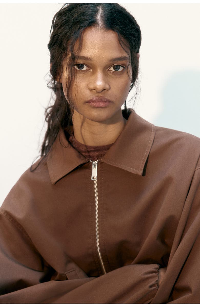 H&M Blouson Jacket, Alternate, color, Dark Brown