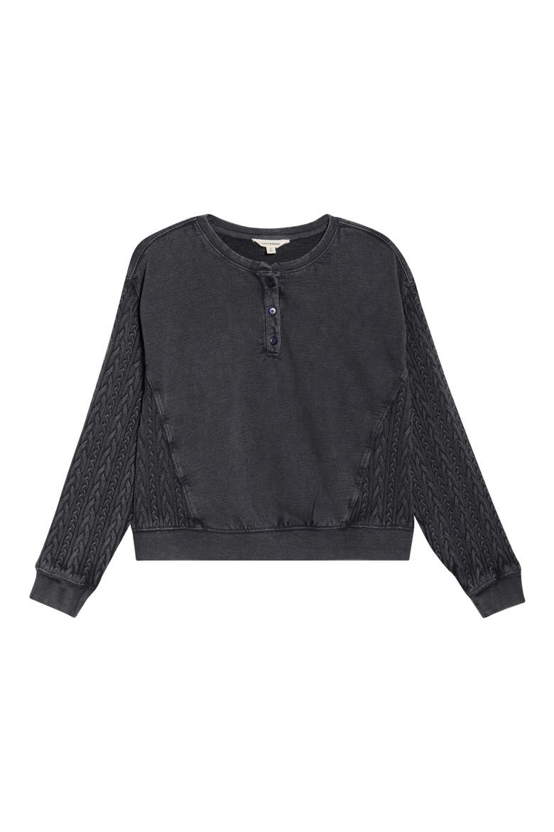 Cable Stitch Sleeve Henley Top, Alternate, color, RAVEN