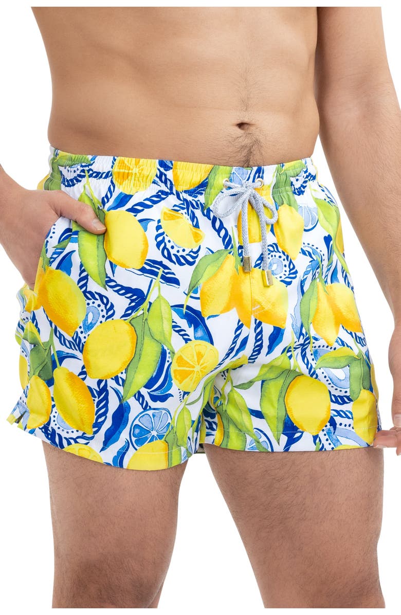 Kenny Flowers The Bossitano - Swim Trunks, Alternate, color, White