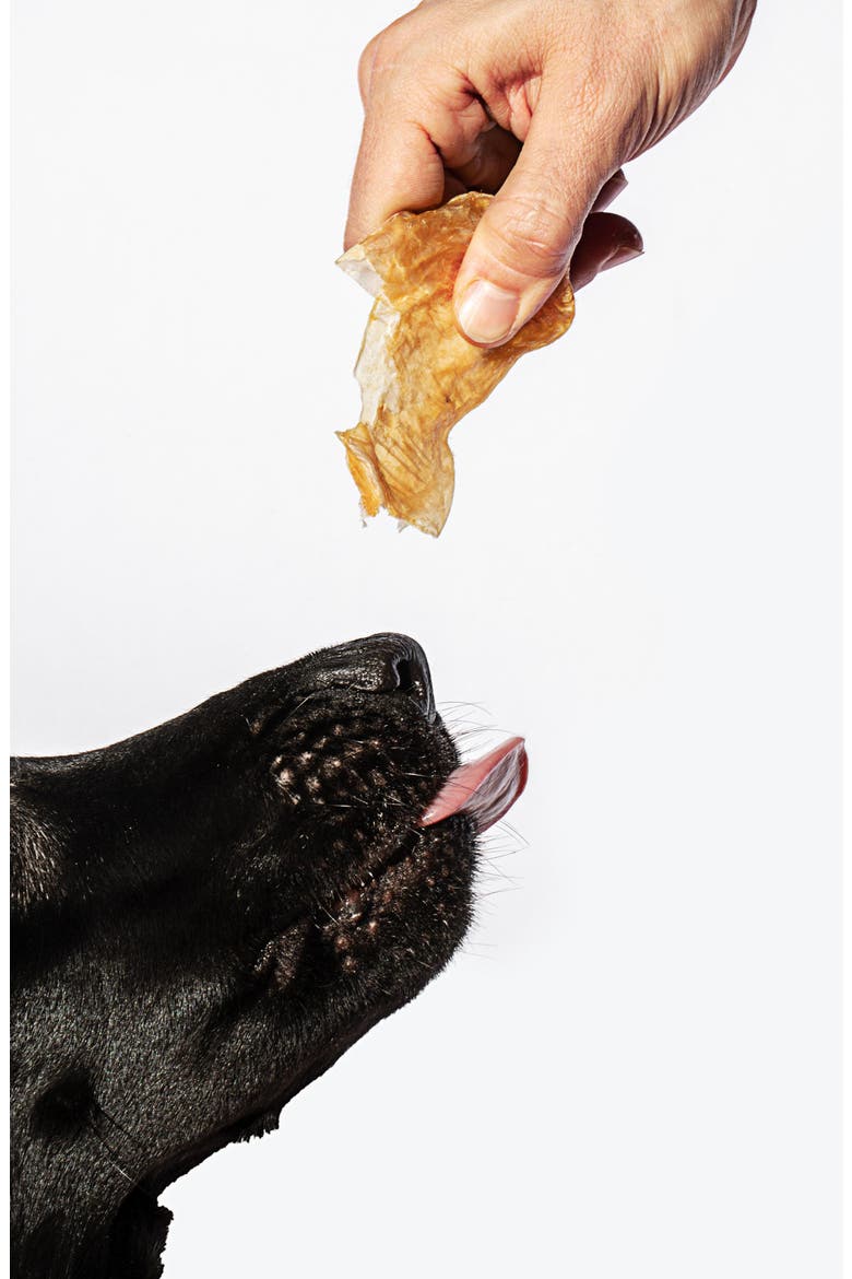 Fish Puffs Dog Snack, Alternate, color, FISH PUFFS