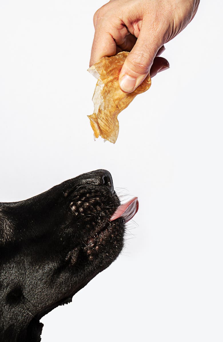 Wild One Fish Puffs Dog Snack, Alternate, color, 