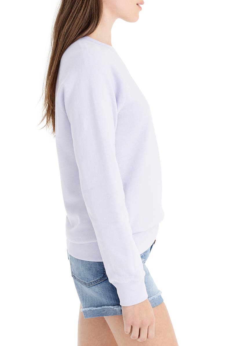 J.Crew Portami a Positano Raglan Sweatshirt, Alternate, color,