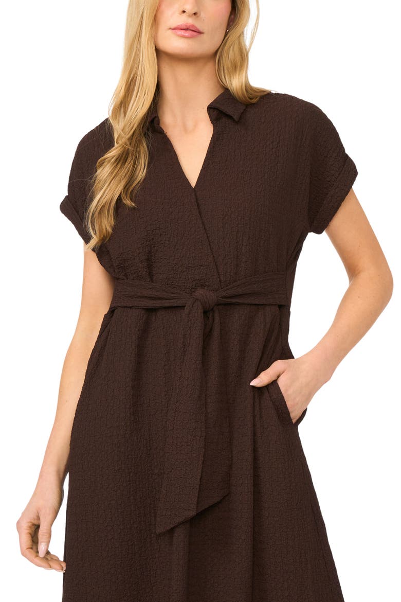Tie Belt Textured Midi Dress, Alternate, color, MOLE