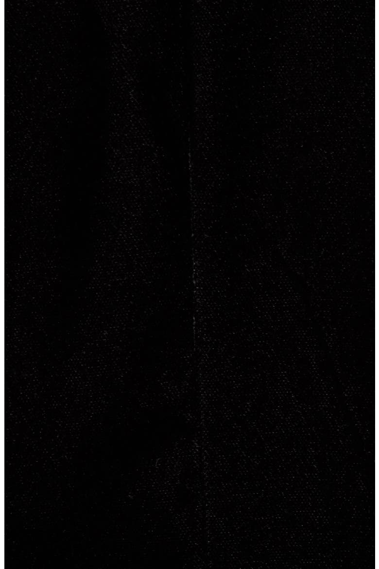 Velvet Blazer, Alternate, color, BLACK