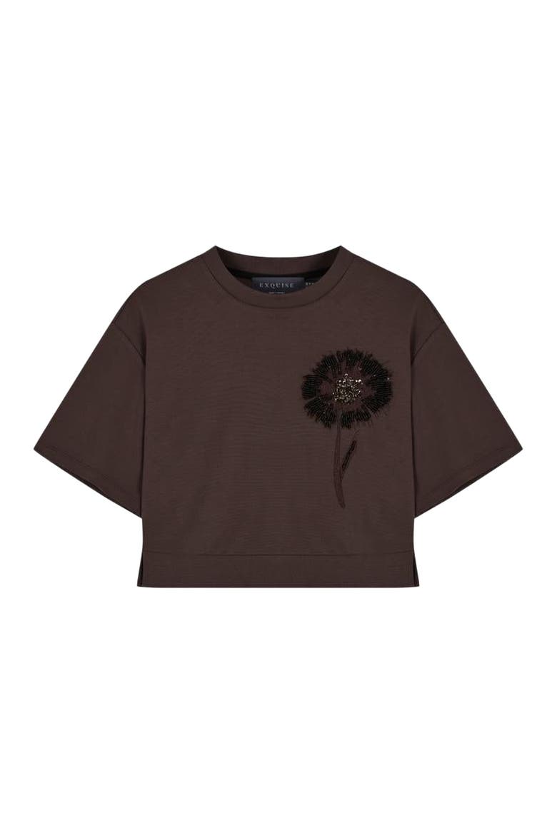Brynn Tshirt, Alternate, color, BROWN