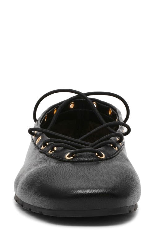 Steve Madden Pointe Ballet Flat