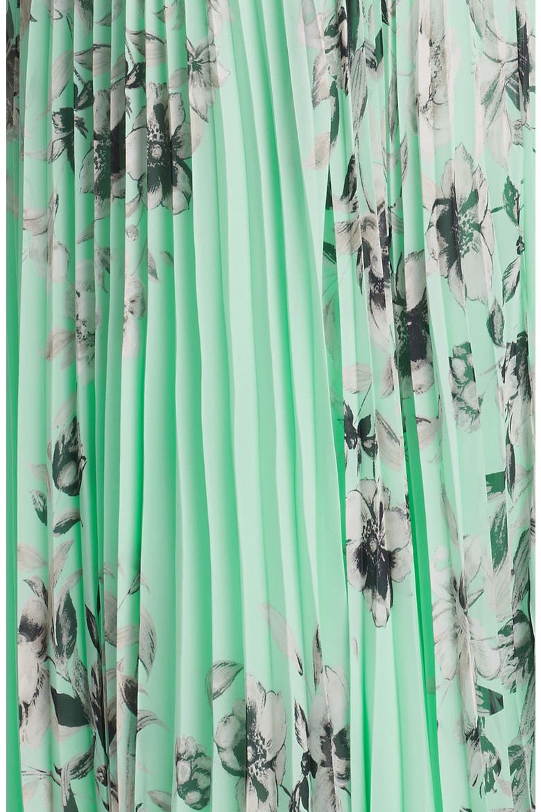 Floral Sleeveless Print Chiffon Maxi Dress, Alternate, color, MINT