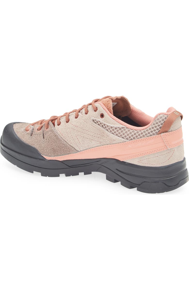 Salomon Gender Inclusive X-Alp Low Top Sneaker, Alternate, color,