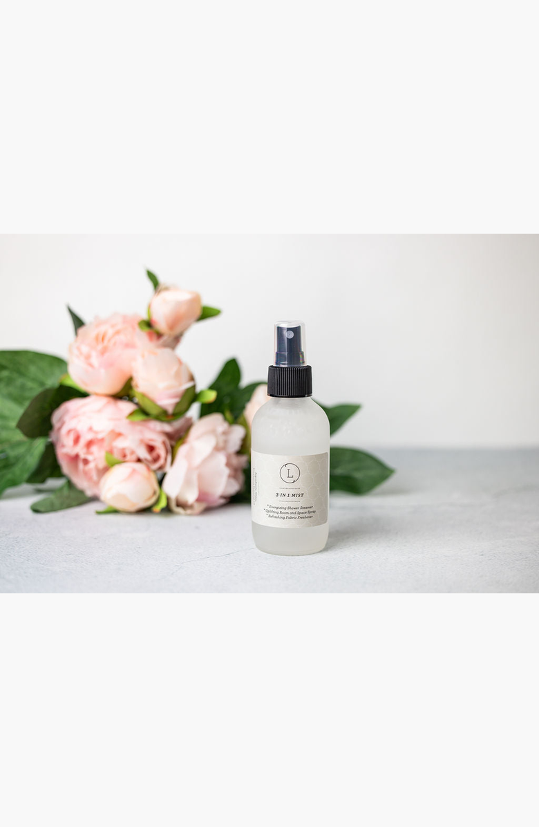 Lizush Eucalyptus Essential Home Spray, Alternate, color, NO COLOR