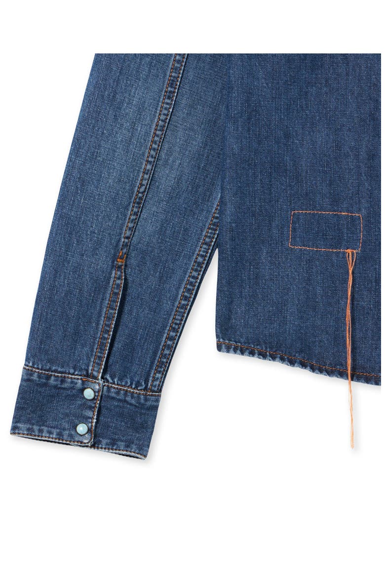 Brigitter Embroidered Denim Shirt, Alternate, color, MULTICOLOR