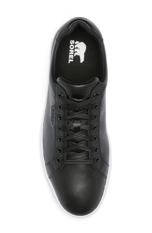 Sorel Cyprus Lx™ Sneaker In Multi