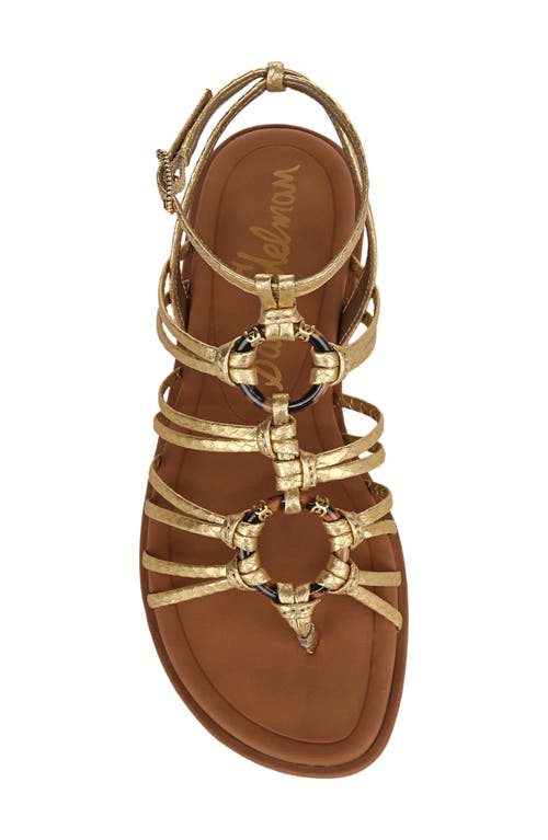 Shop Sam Edelman Raye Gladiator Sandal In Gold