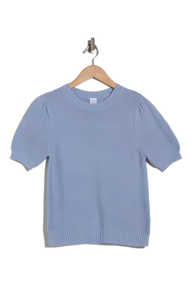 Textured Stitch Short Sleeve Sweater, Alternate, color, BLUE BLIZZARD