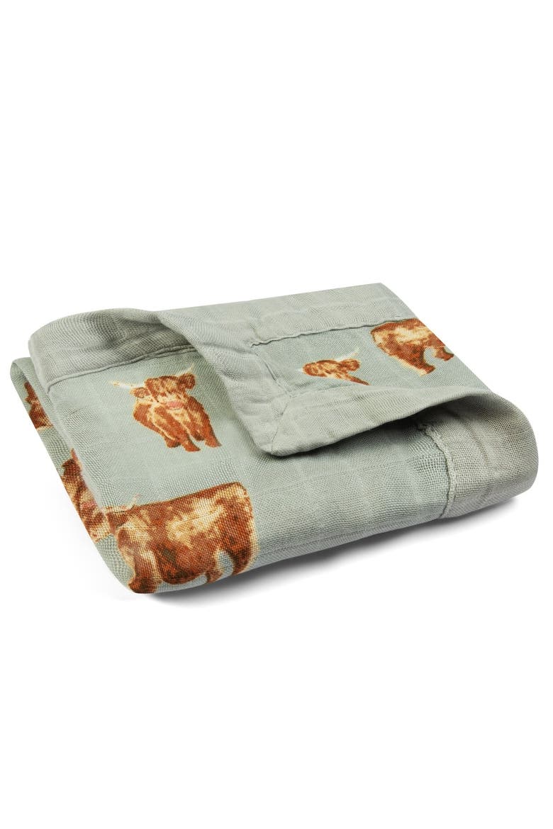 Collared Shortall, Alternate, color, Swimming Koi