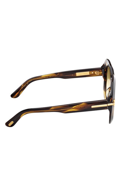 Tom Ford Icon 53mm Gradient Round Sunglasses In Brown