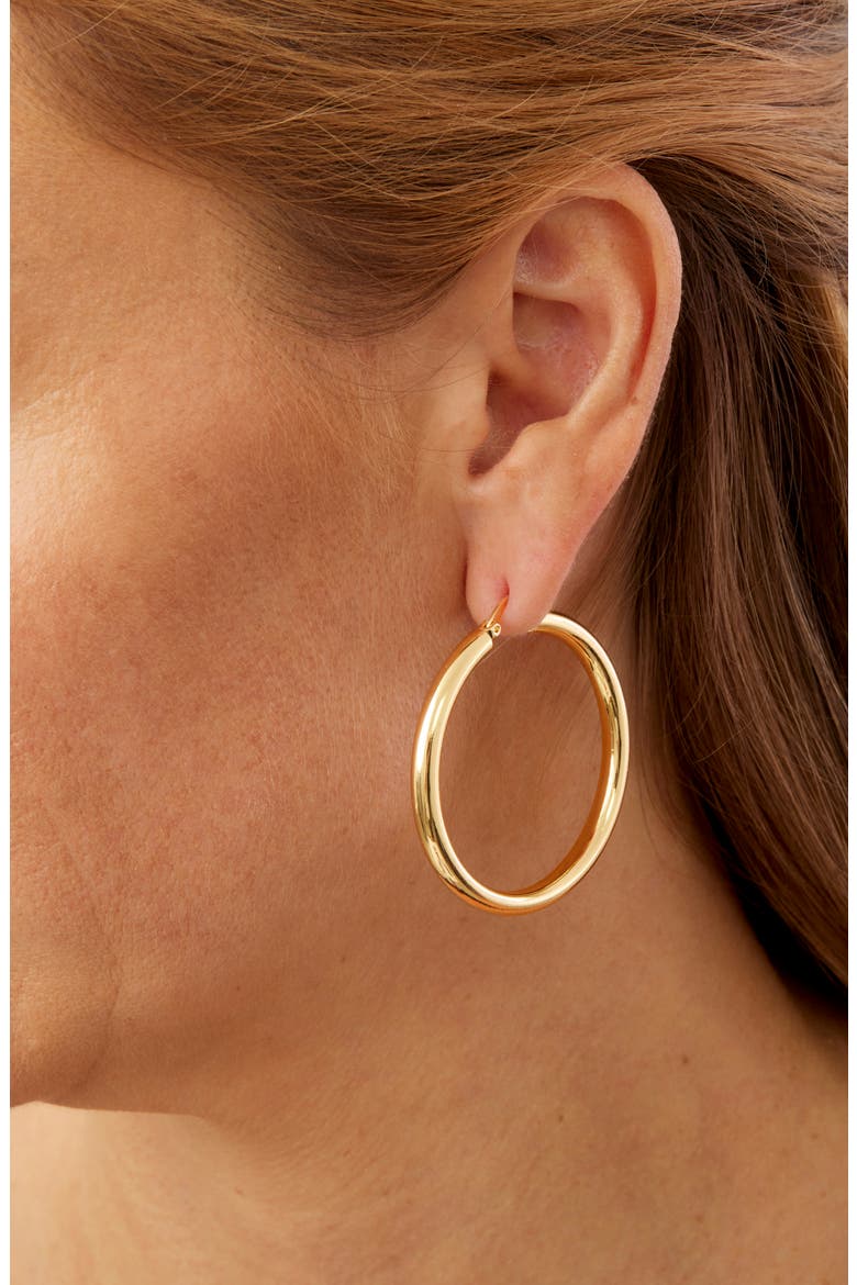 Set of 2 Two Tone Hoop Earrings, Alternate, color, TWO TONE