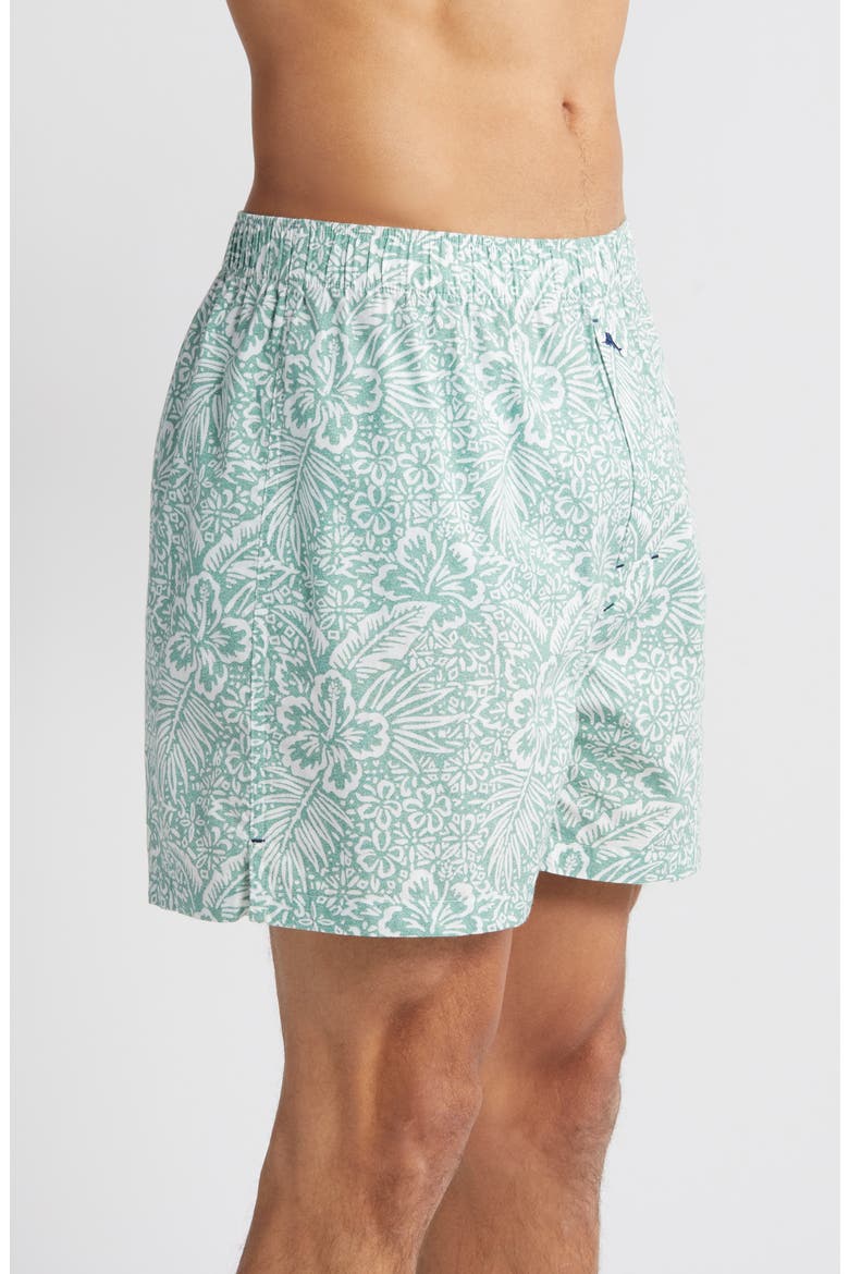 Cotton Pajama Boxers, Alternate, color, MINT PRINT
