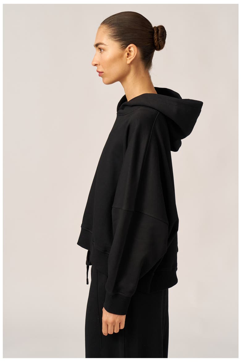 Cozy Coast Airport Hooded Sweatshirt, Alternate, color, Black