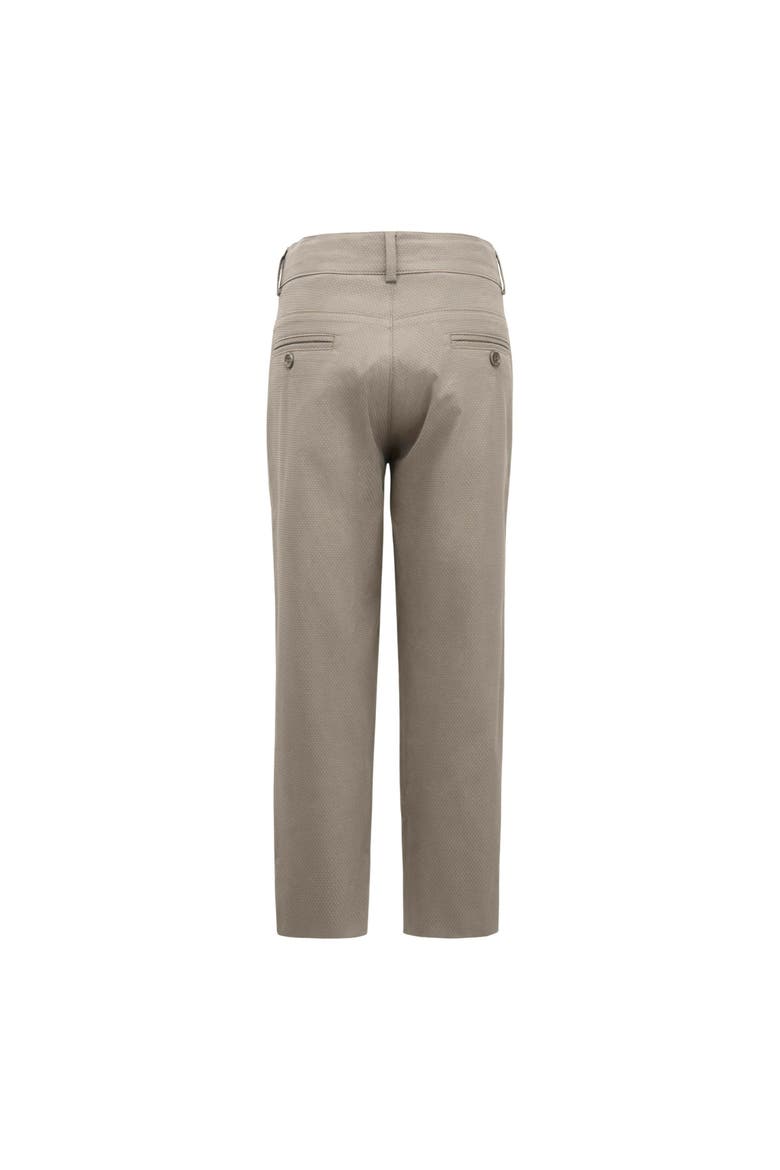 Modern Dress Pants, Alternate, color, Beige