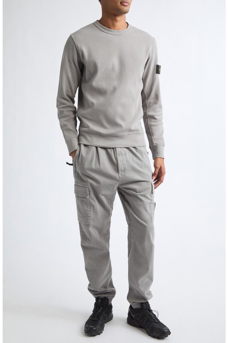 Compass Logo Patch Cotton Crewneck Sweatshirt, Alternate, color, V0060 GREY