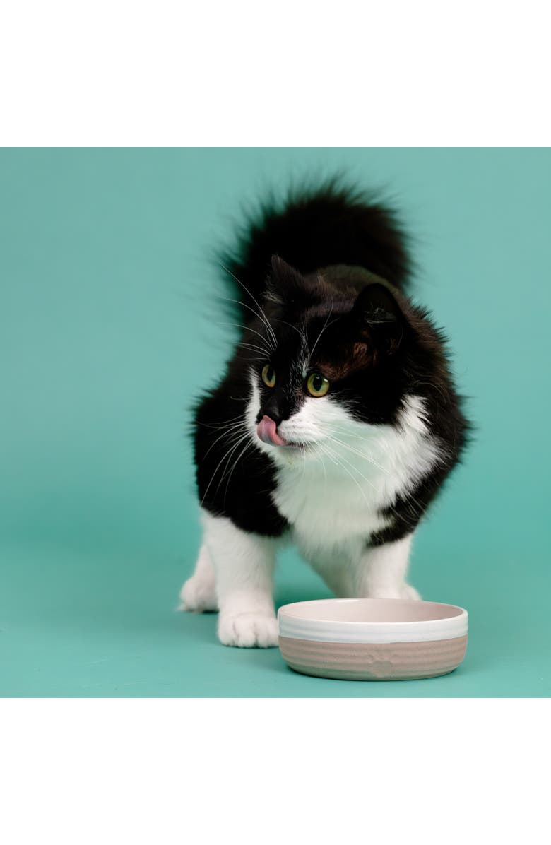 MASON CASH Heart Paw Pet Bowl, 5.1 Inch, 8.4oz, Food Water Dish, Alternate, color, Multicolored