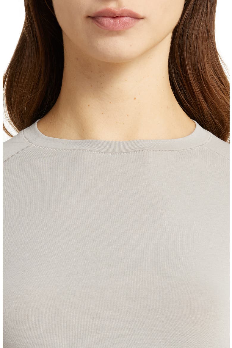 New Vintage Cropped Raglan T-Shirt, Alternate, color, SILVER
