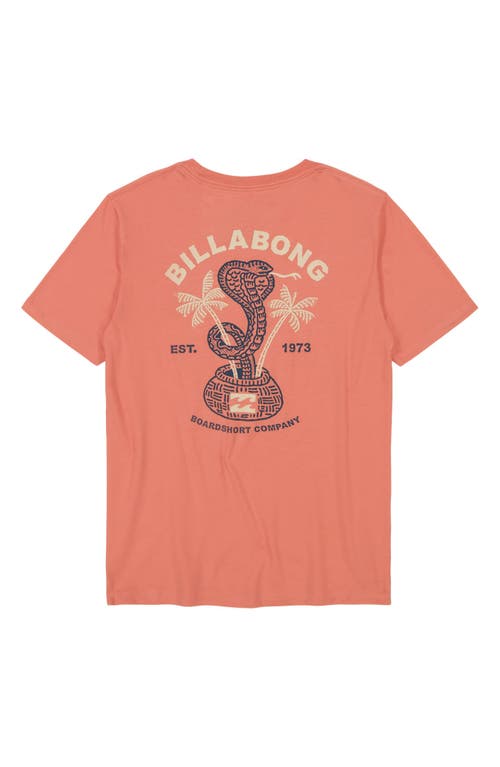 Billabong Kids' Cobra Graphic T-shirt