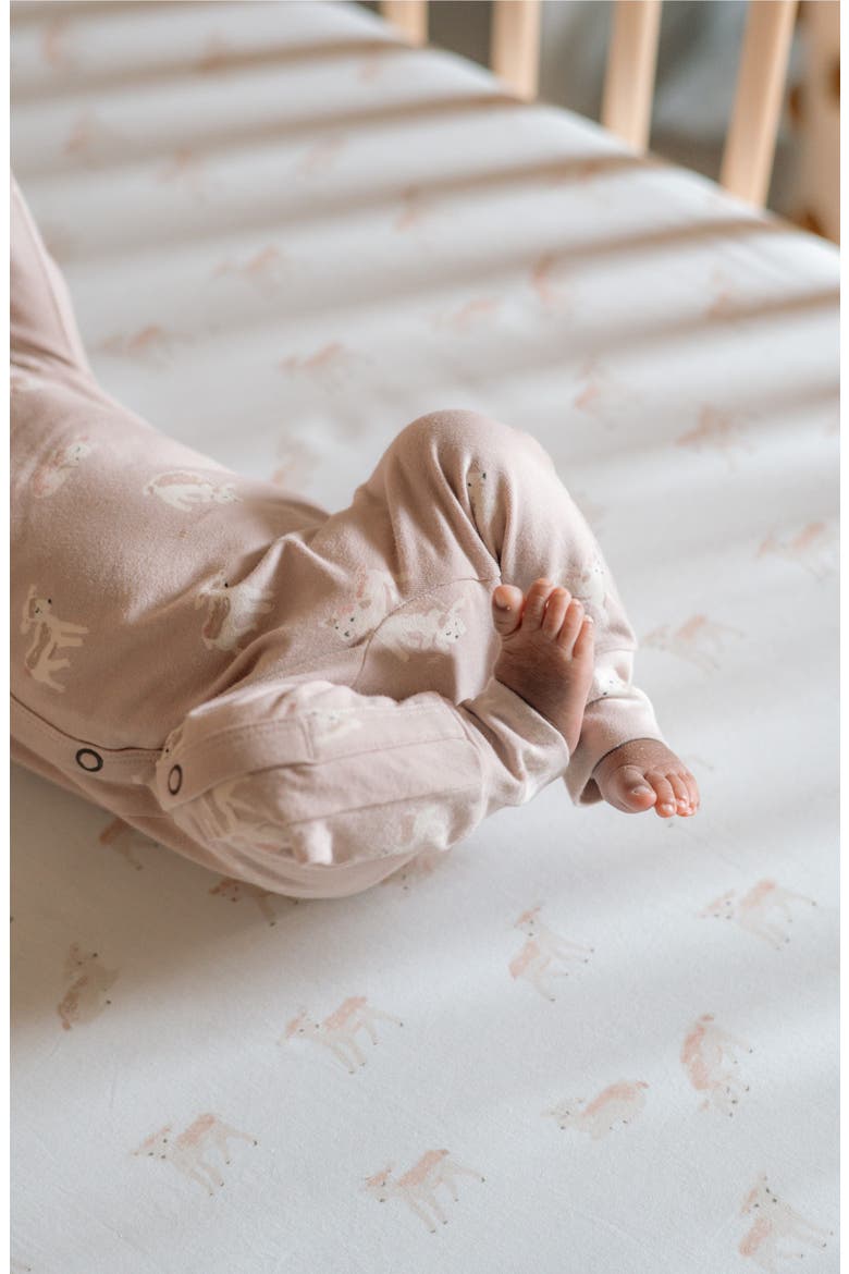 The Littles Stretch Organic Cotton Romper, Alternate, color, DEAR LAMB