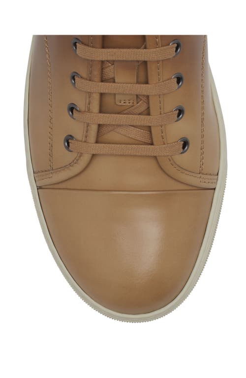 Lanvin Dbb1 Gradation Leather Sneakers In Brown