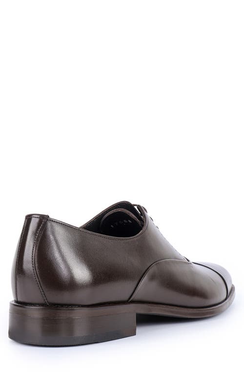 Vellapais Dinero Perforated Oxford In Dark Brown