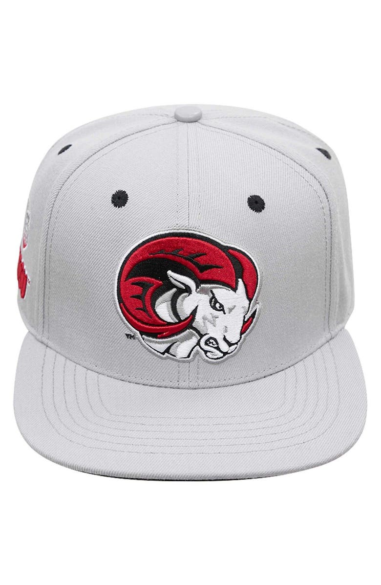 PRO STANDARD Men's Pro Standard Gray Winston Salem Rams Evergreen Mascot Snapback Hat, Alternate, color, Gray