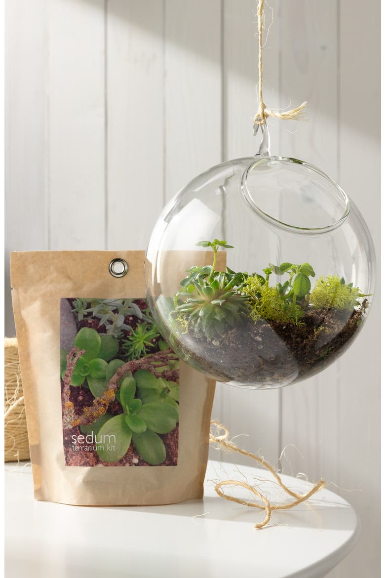 Sedum Terrarium Kit, Alternate, color, BROWN