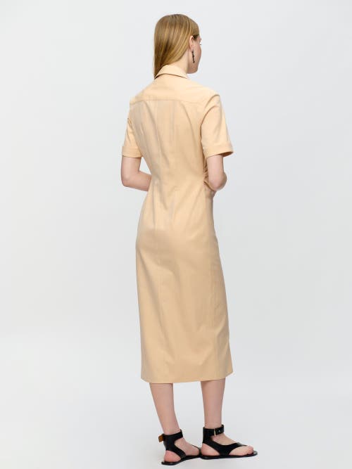 Callas Milano Lou Fitted Shirt Dress In Orange
