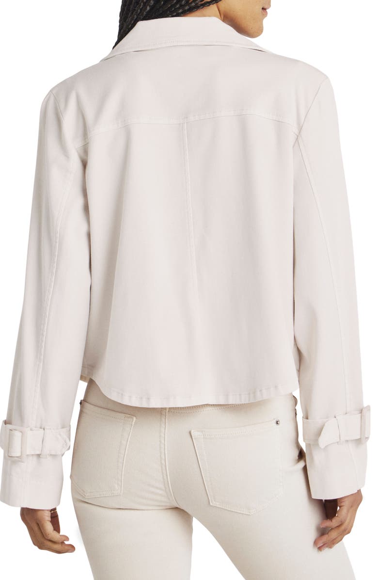 Splendid Portia Double Breasted Jacket, Alternate, color, 