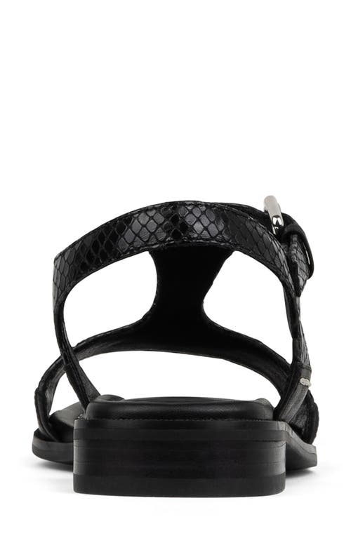 DONALD PLINER DONALD PLINER DRIA T-STRAP SANDAL 