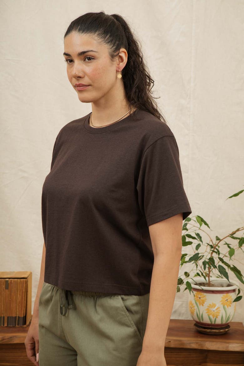 Recycled Boxy Tee, Alternate, color, Truffle