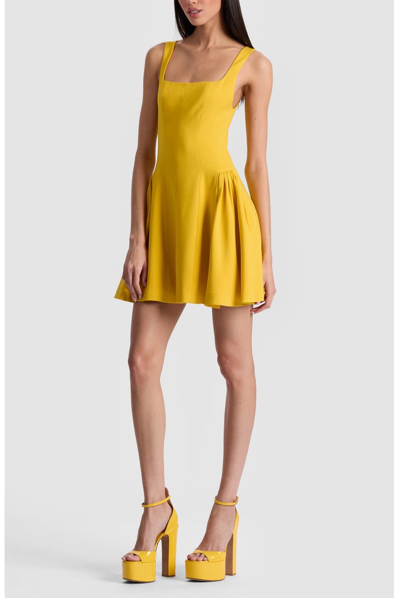 Vera Fit & Flare Minidress, Alternate, color, GOLDEN HOUR